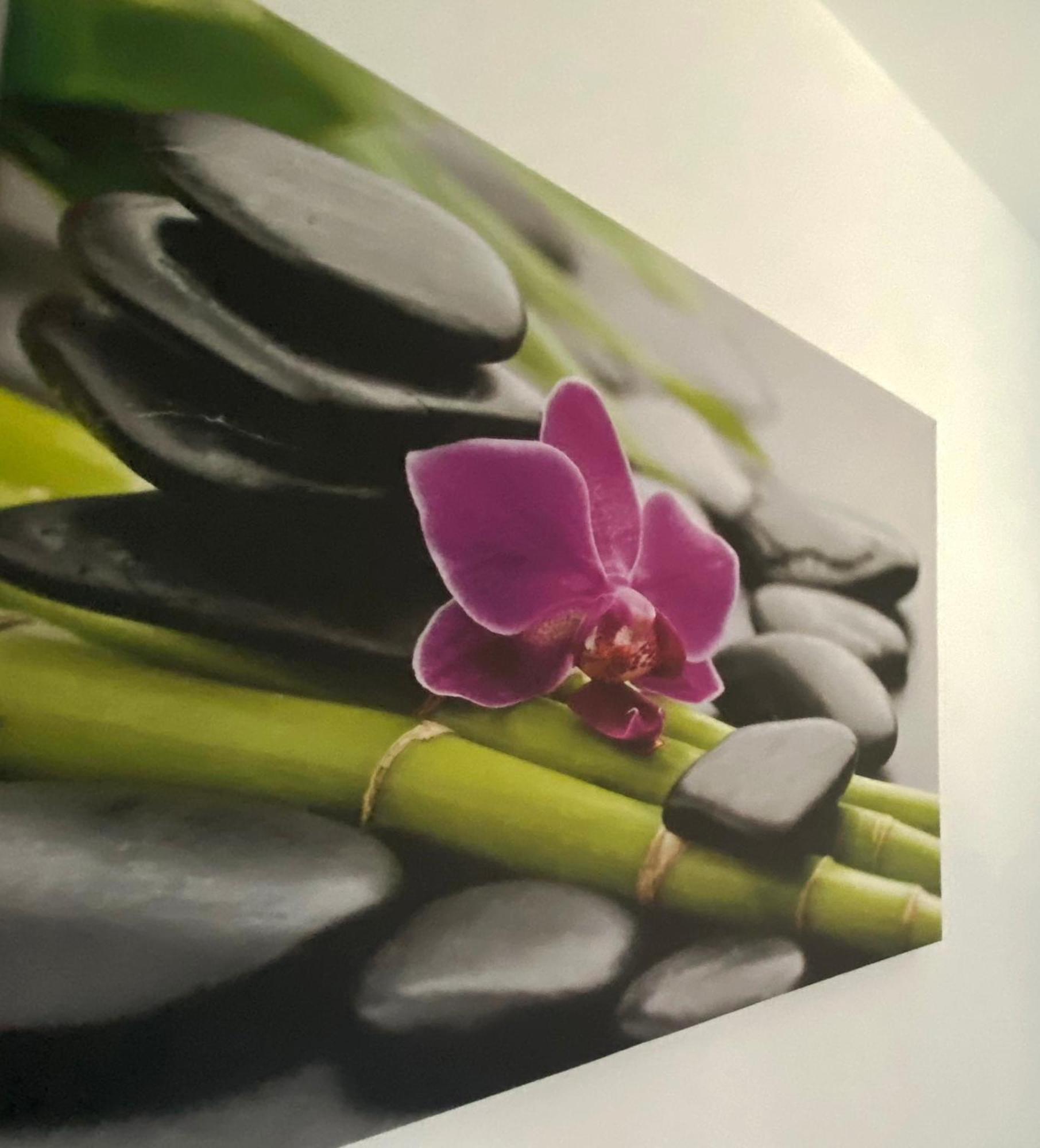 Four Flowers Apartman Siófok Exteriör bild